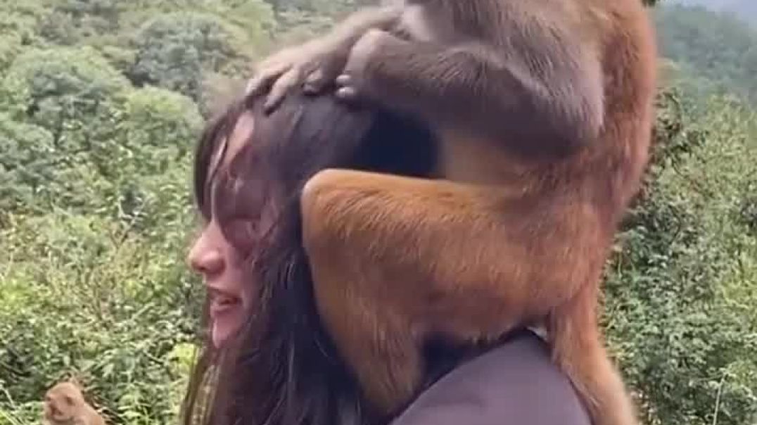 Monkey riding a girl
