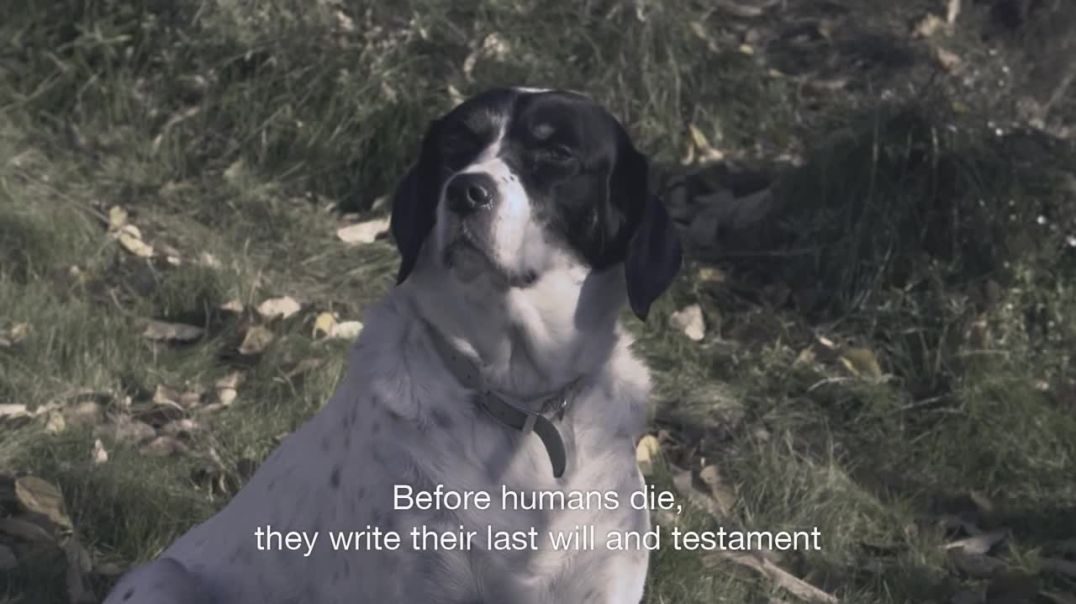 Last Will and Testament OF DOG.