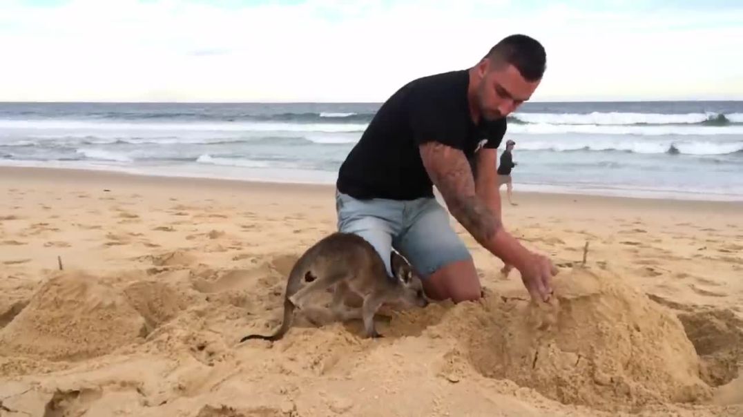 CRAZIEST Pets People Actually Own!