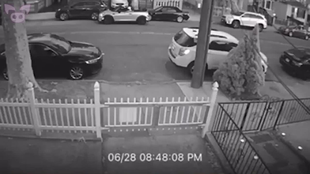 Videos No One Can Rationally Explain!