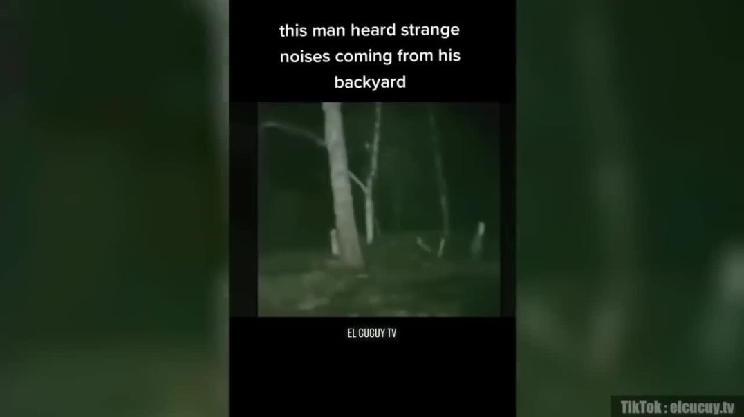 Scary Videos Must Watch Tonight !