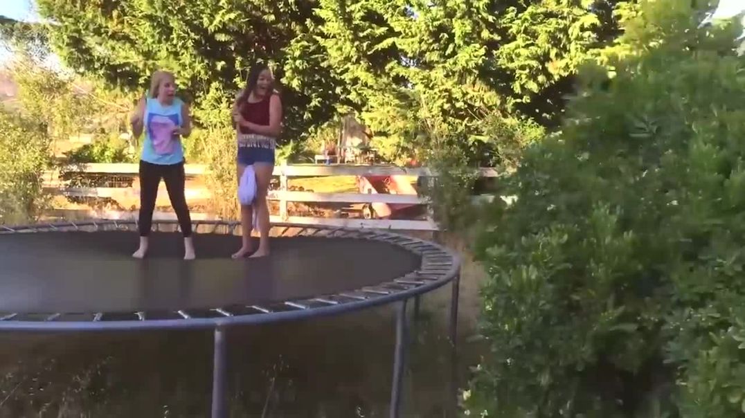 Try Not To Laugh Funny Video