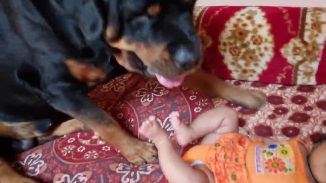 DOG AND CHILD ---BEST FRIENDS EVER