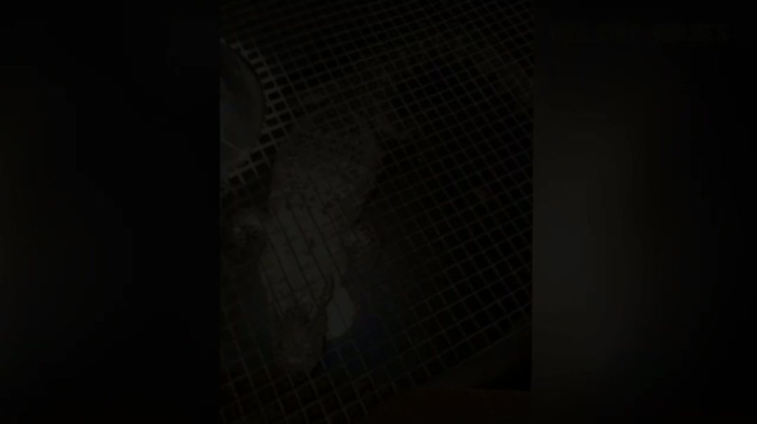 8 Most Disturbing Things !