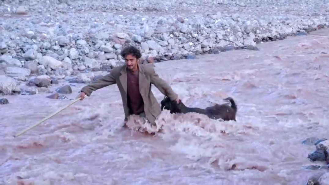 Life of Nomadic people _GADDI