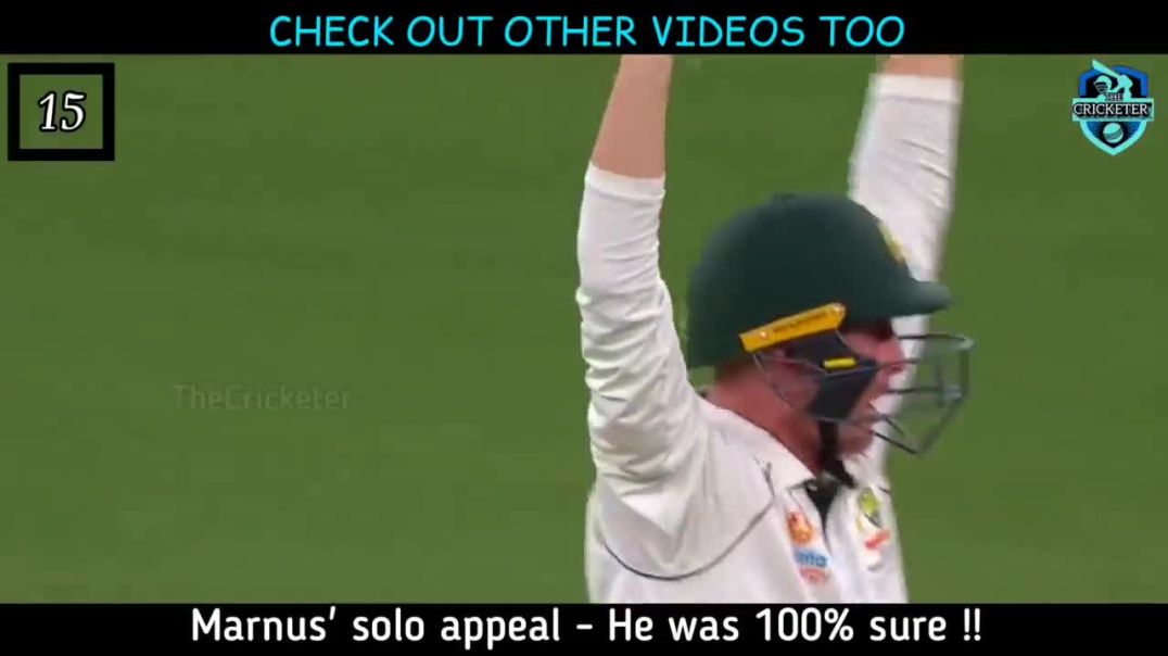 15  Funny And Crazy Moments in Cricket !