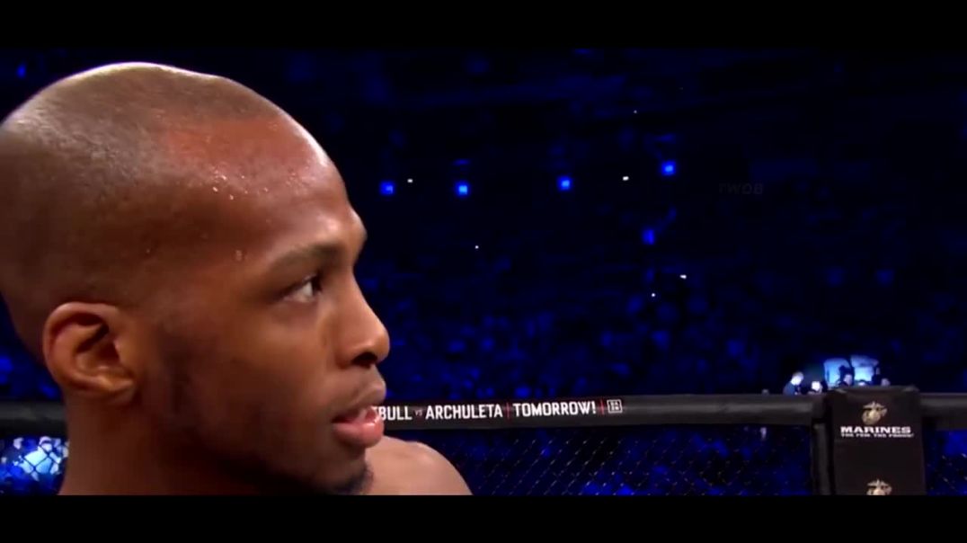 The Crazy Knockouts---Boxing