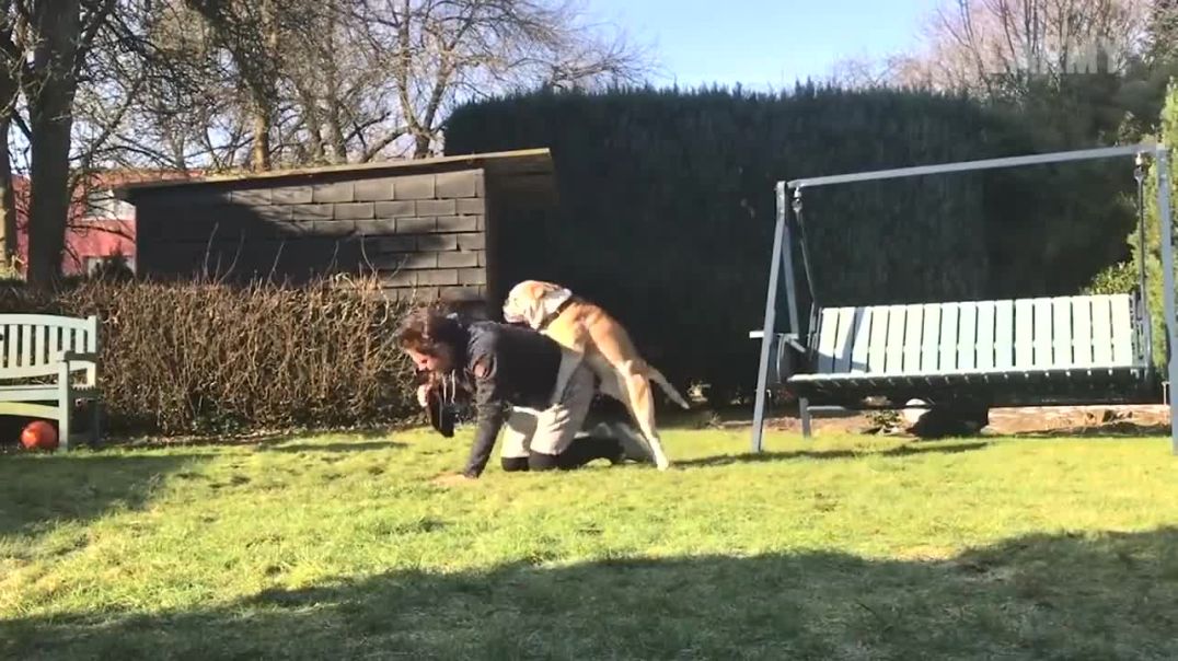 Fails of the Week _ Fail Army