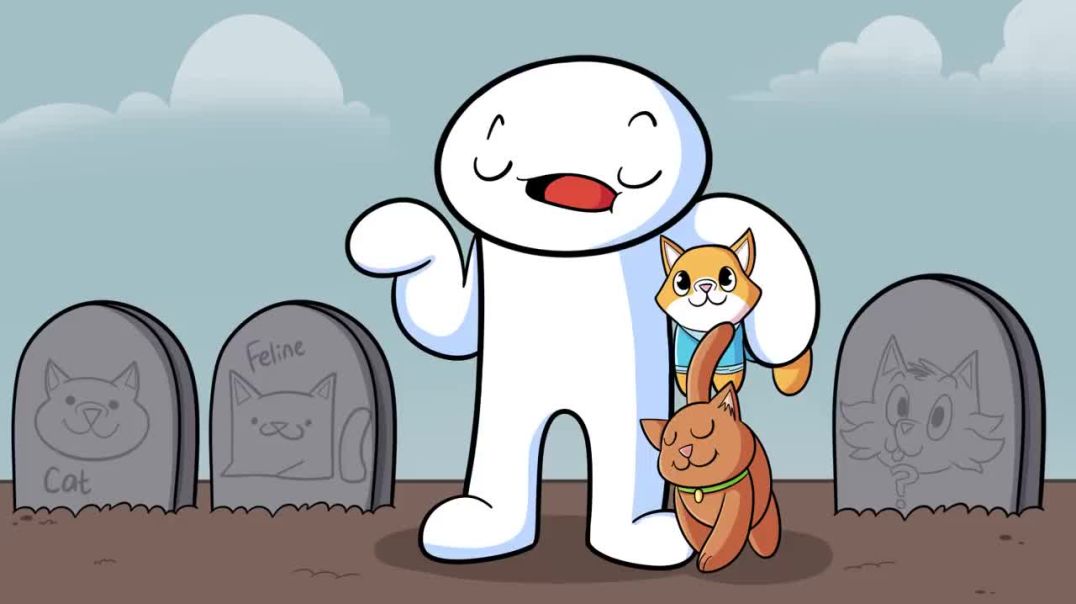 Our Cats ---Cartoon