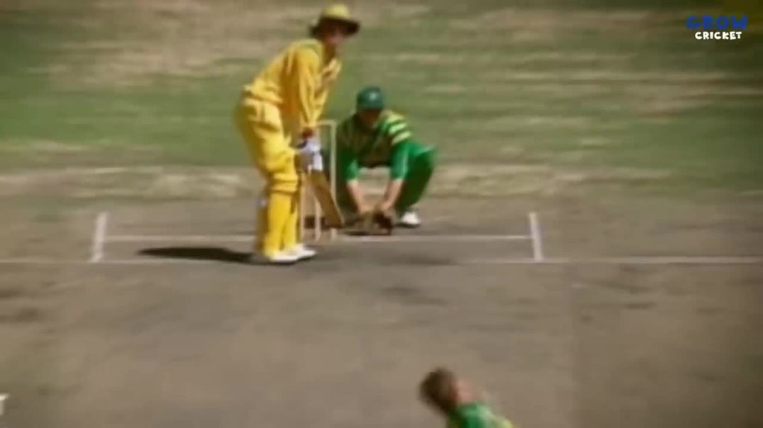 TOP 10 Fielders in Cricket History