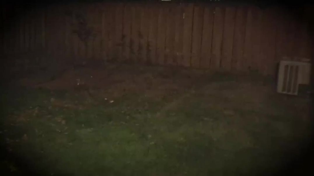 True  Horror Stories !