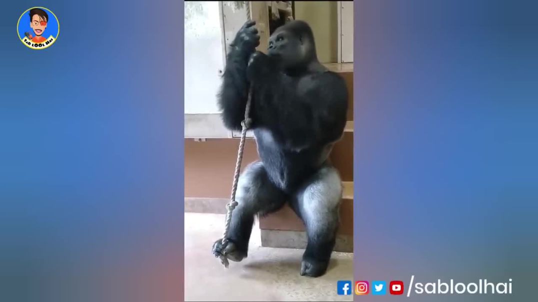 Jyada Socho Mat----lool comedy