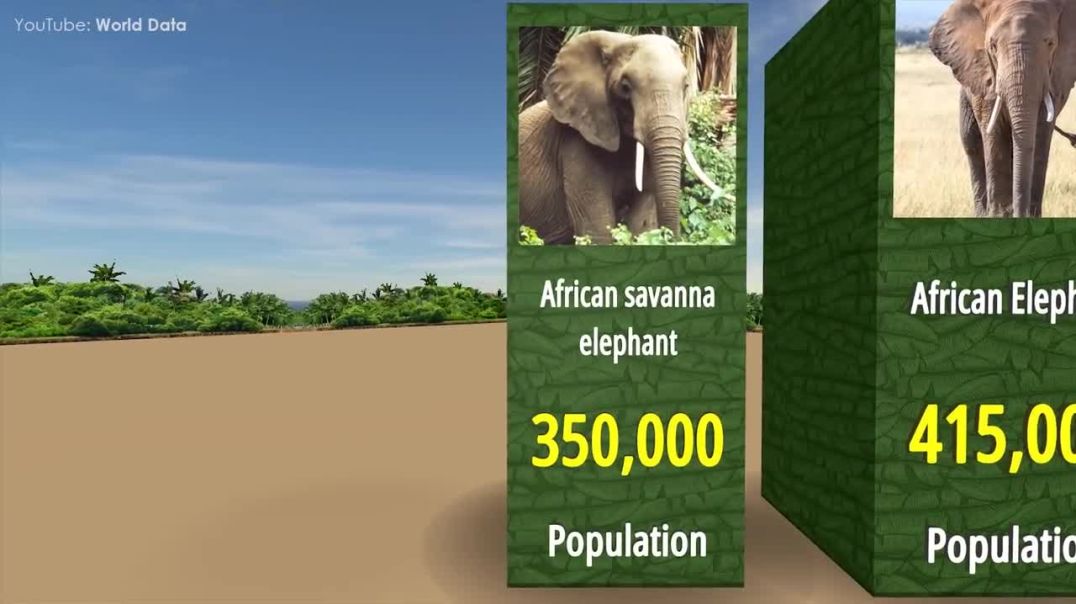 Most Endangered Species---Data
