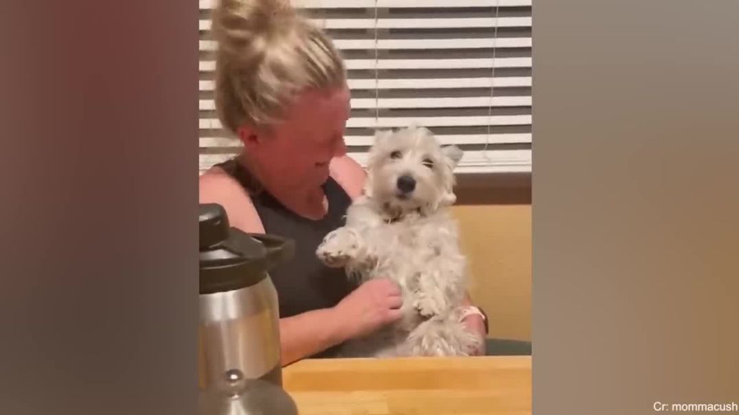 When your dog is like your sibling ---Pet