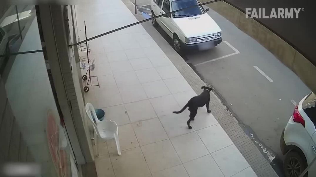 Hilarious CCTV Fails !