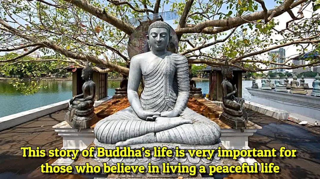 BUDDHA STORY !