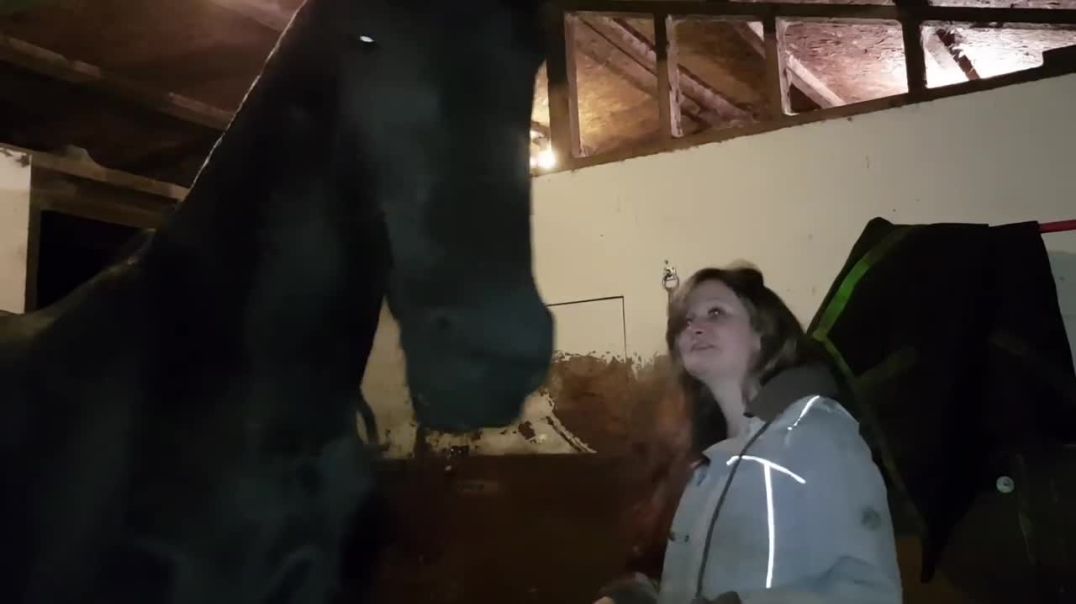 Horse pulls owner close for a hug---Pet