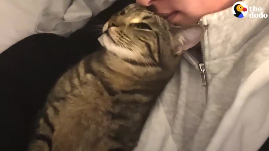Stray Cat Chooses His New Mom !