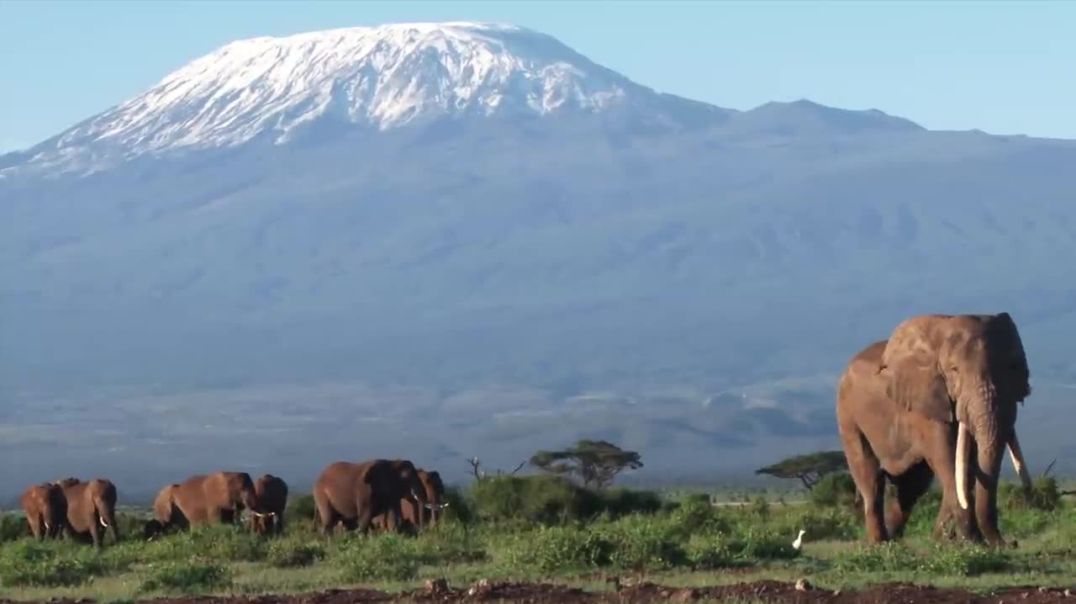 CLIMBING MOUNT KILIMANJARO !