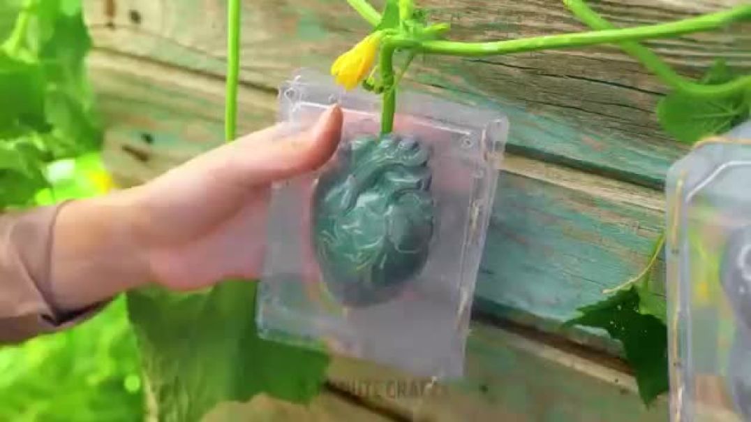 Idea You Can Try At Your Home !