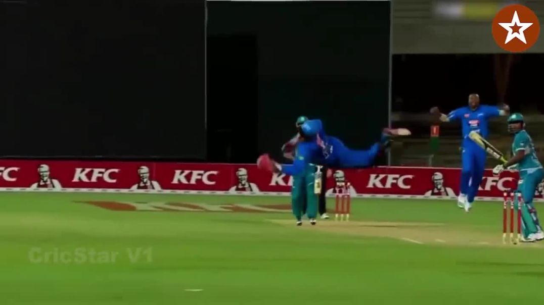 Best Wicket Keeper Catches in Cricket !