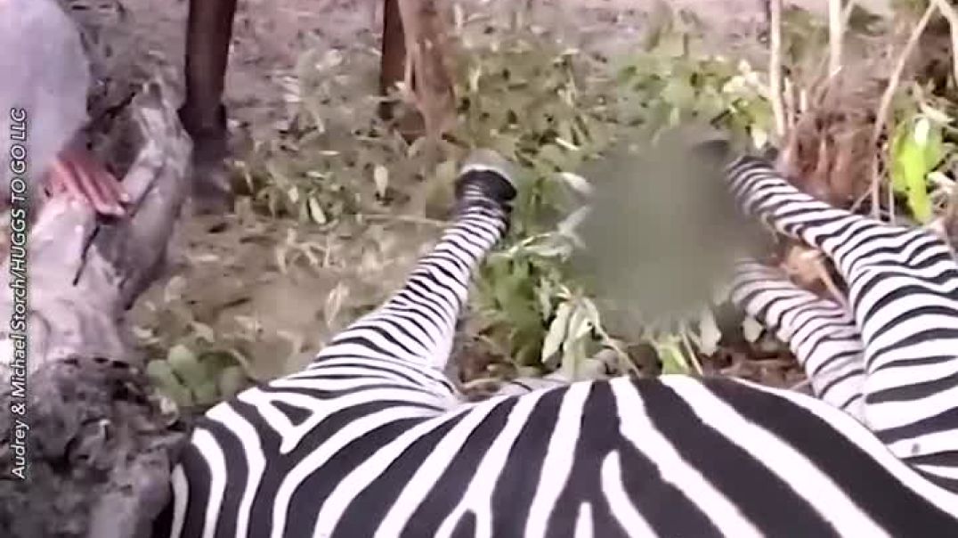 Zebra Rescue: Heroes Save the Day--dodo