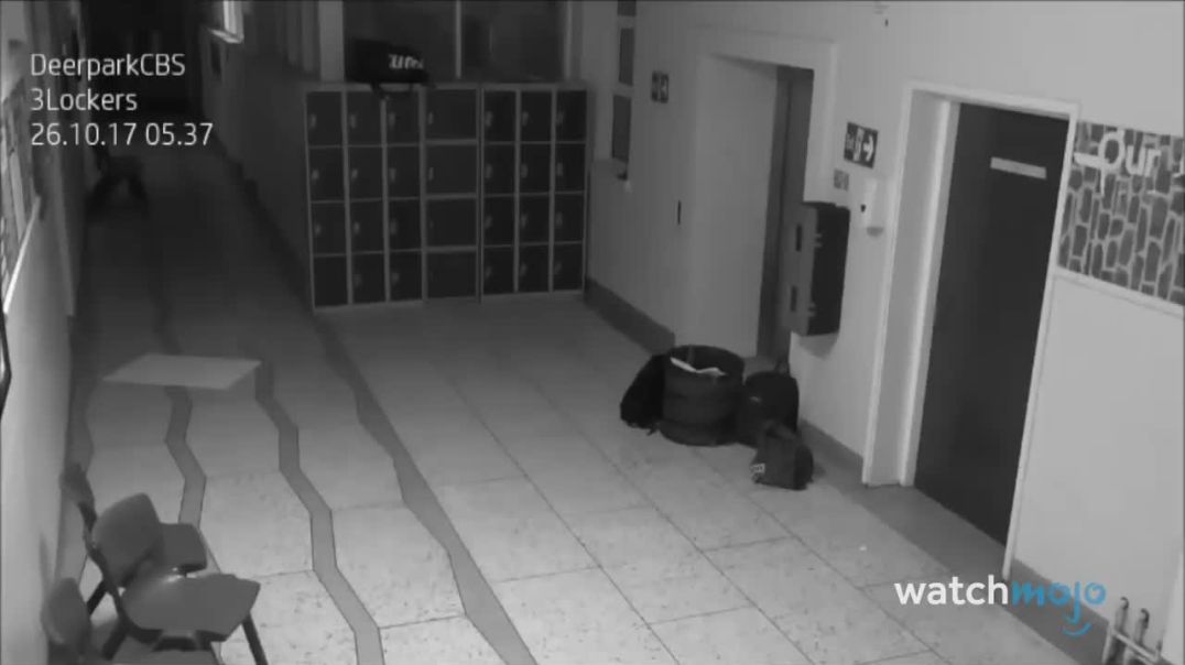 "Unexplained and Unnerving: Top 10 Security Camera Encounters with the Paranormal!