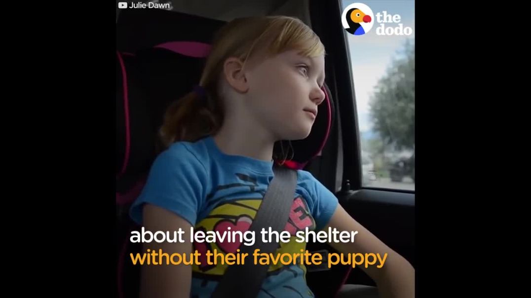 Girls Find Their Perfect Furry Companion: Heartwarming Puppy Adoption Story!