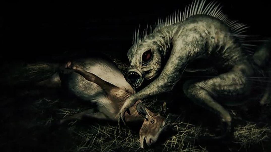 5 Unexplained and Mysterious Creatures Caught on Video--scary