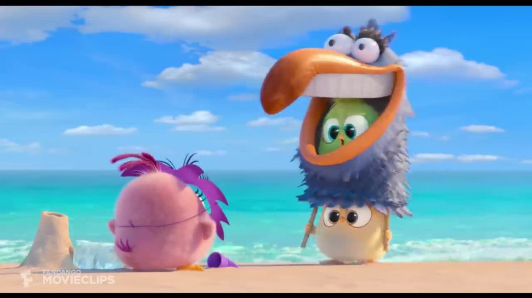 Feathered Frenzy: The Epic Battle Between Sisters--English Animated