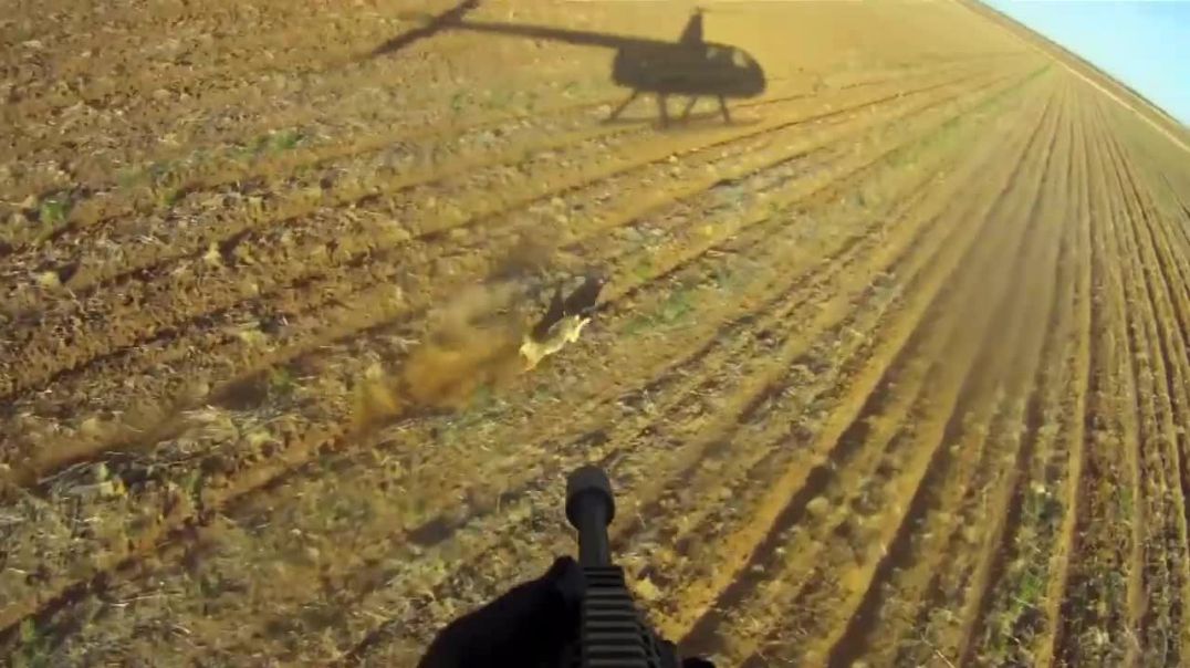 High-Flying Hog Hunting: Slow-Mo Kill Shots Unveil the Wonders of our World!