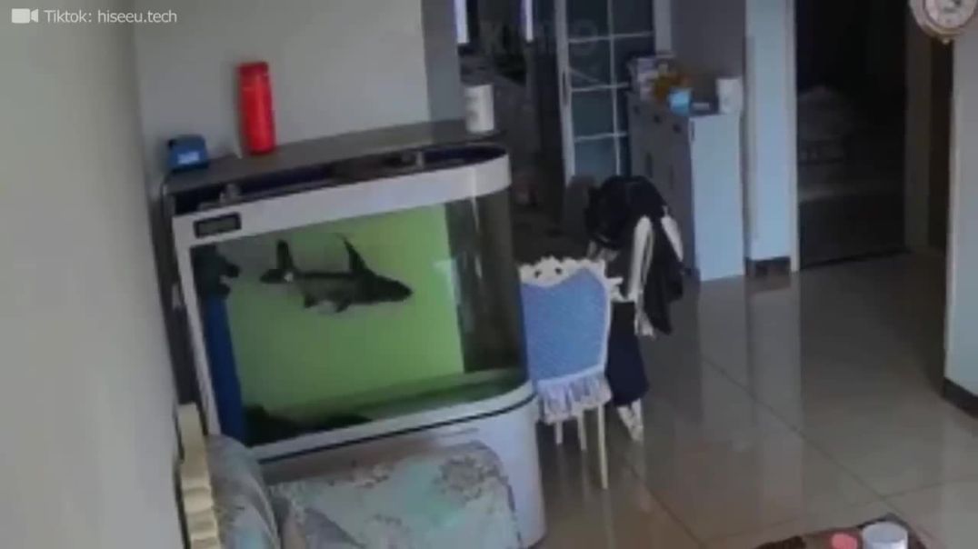 Caught on Camera: Hilarious Security Camera Fails That Will Make You Laugh Out Loud!