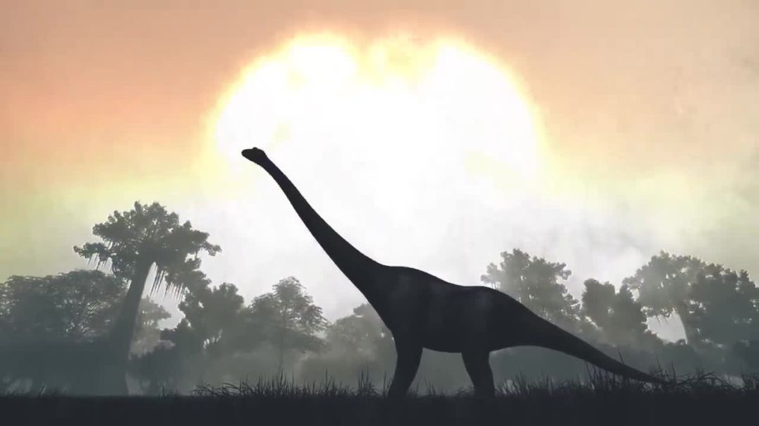 Unveiling the Apocalyptic Moments: The First Minutes of Dinosaur Extinction !