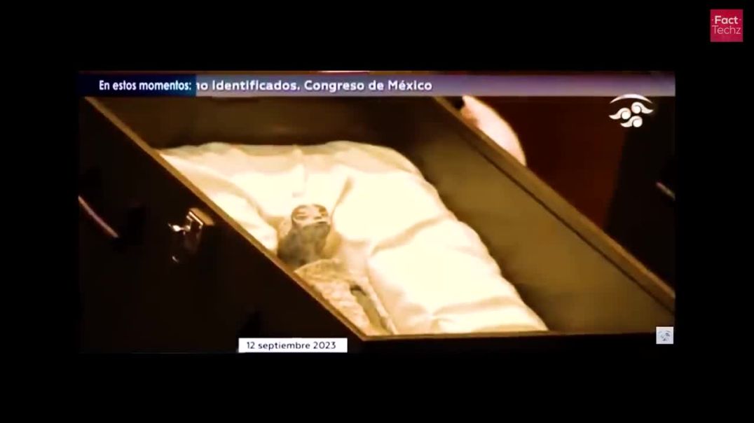 Unraveling the Mystery: Mexico's Alien Body - Real or Hoax !