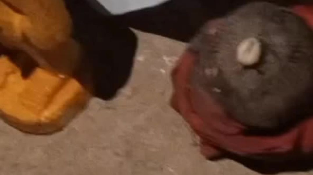 The Best Powerful SpirItual Herbalist Native Doctor IN Nigeria+2349159450040