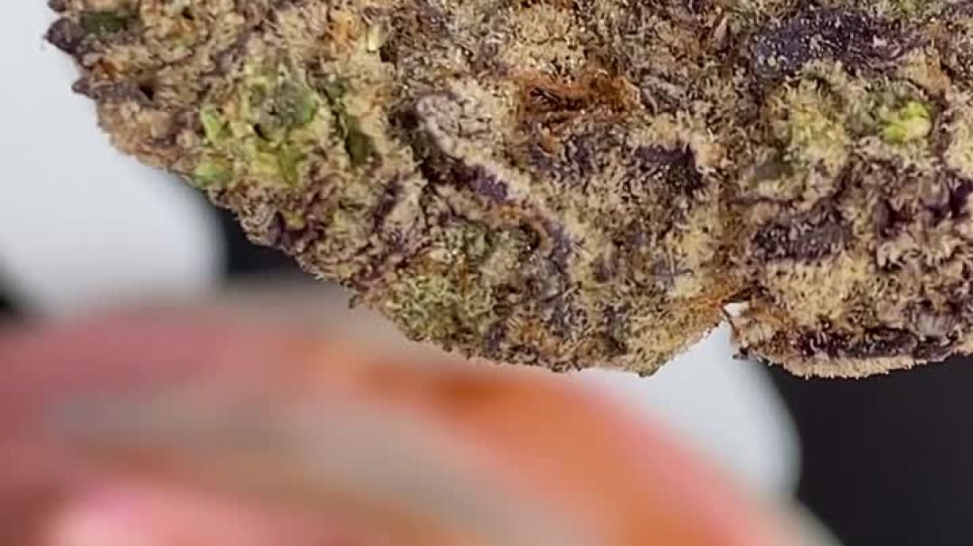 Telegram @legendman420 Buy Weed THC Vape In Tokyo Japan