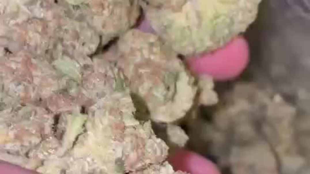 Telegram @legendman420 Buy Weed THC Vape In Singapore