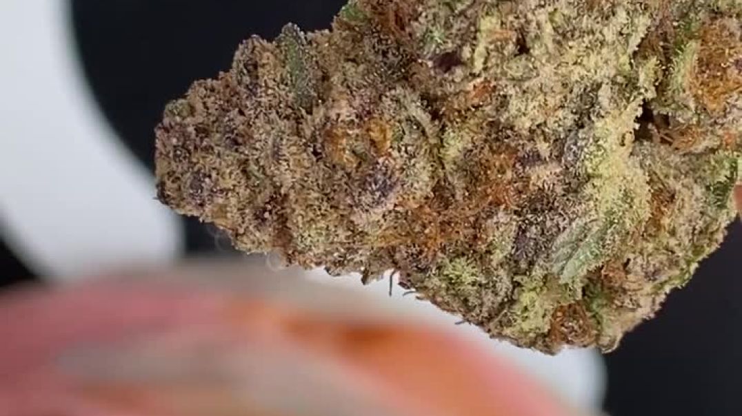 Telegram @legendman420 Buy Weed THC Vape In Sao Paola