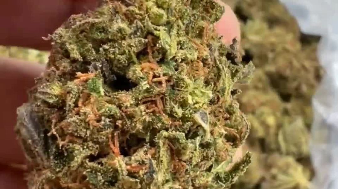 Telegram @legendman420 Buy Weed THC Vape In Montenegro