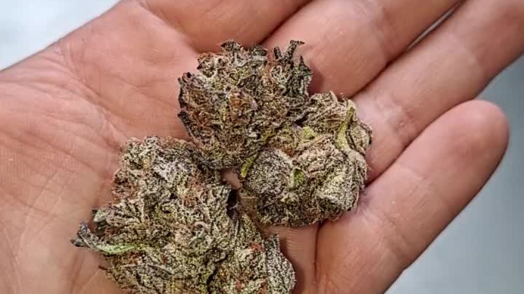 Telegram @legendman420 Buy Weed THC Vape In Dubai