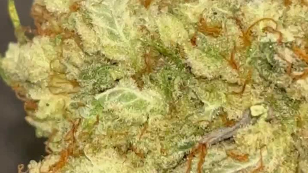 Telegram @xcxman Buy Weed THC Vape in Hong Kong