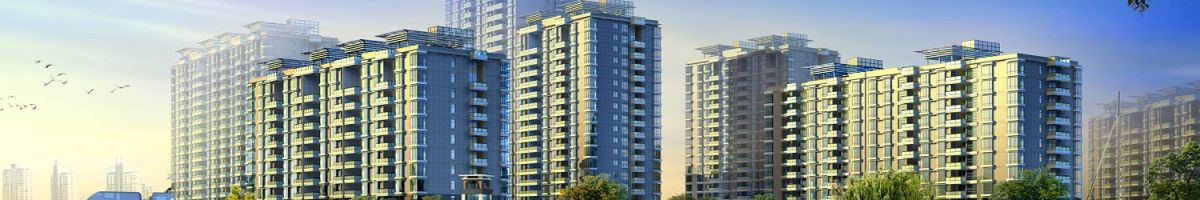 Purva Northern Lights